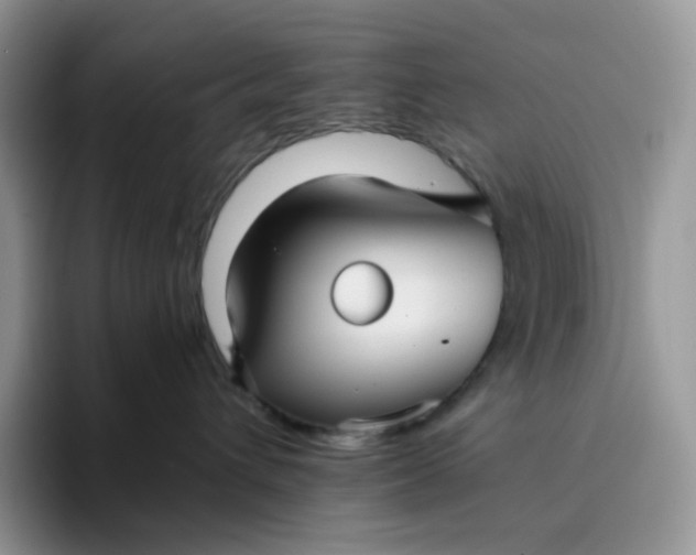 X0000094220432200711091259