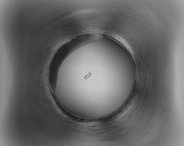 X0000094220433200711091259