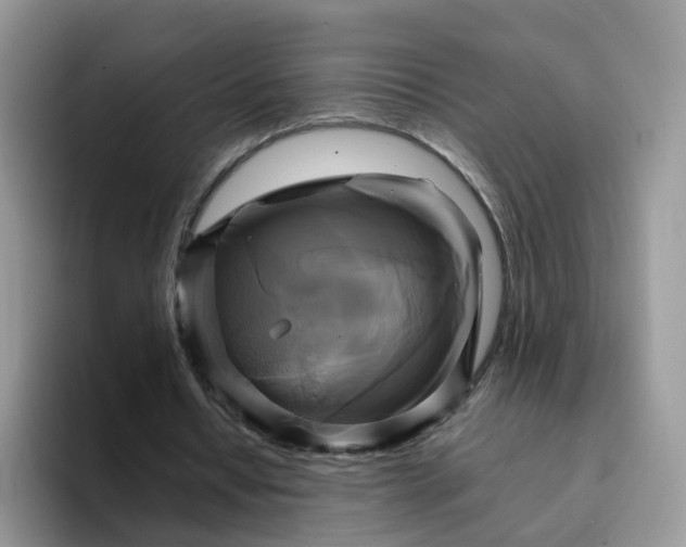 X0000094220434200711091259