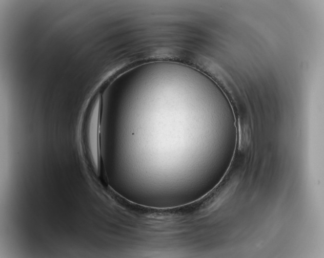 X0000094220435200711091259