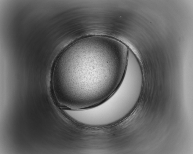 X0000094220437200711091259