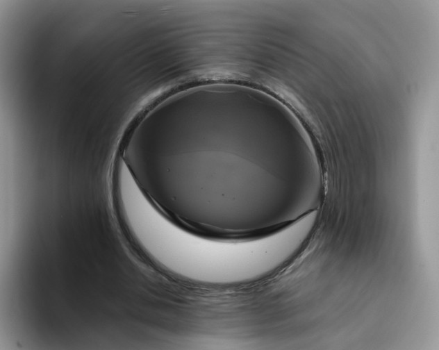 X0000094220438200711091259