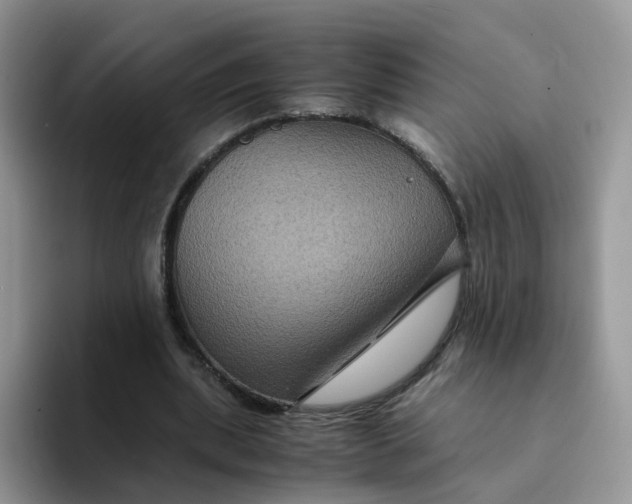 X0000094220439200711091259