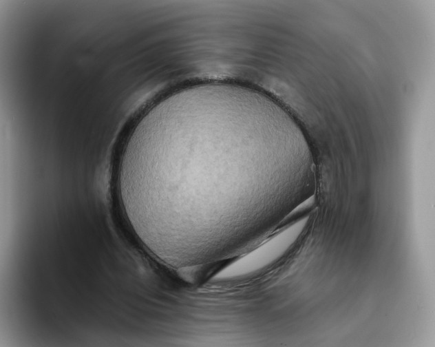 X0000094220440200711091259