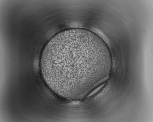 X0000094220441200711091259