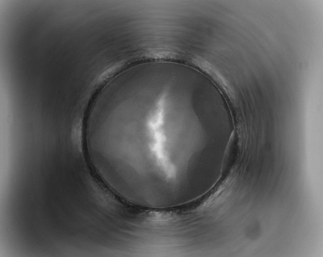 X0000094220442200711091259