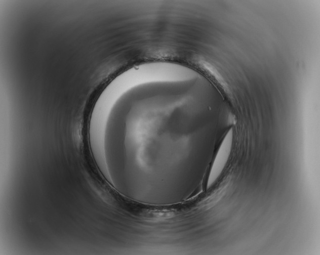 X0000094220443200711091259