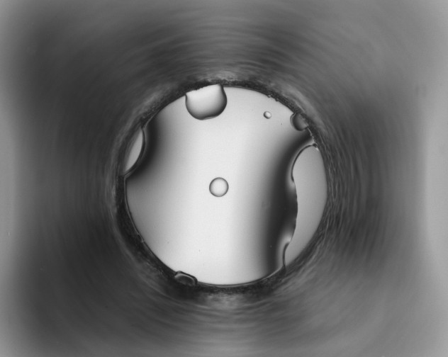 X0000094220444200711091259