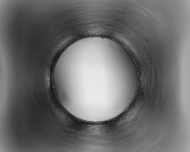 X0000094220446200711091259