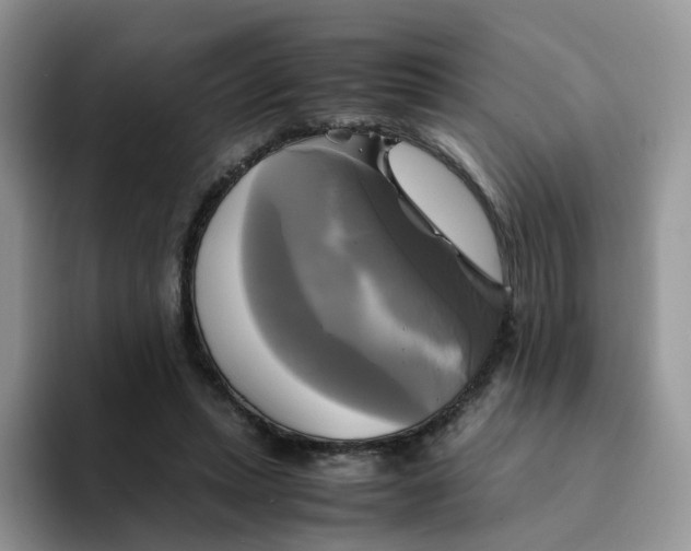 X0000094220447200711091259