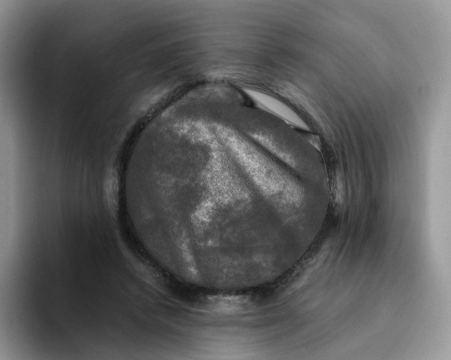 X0000094220448200711091259