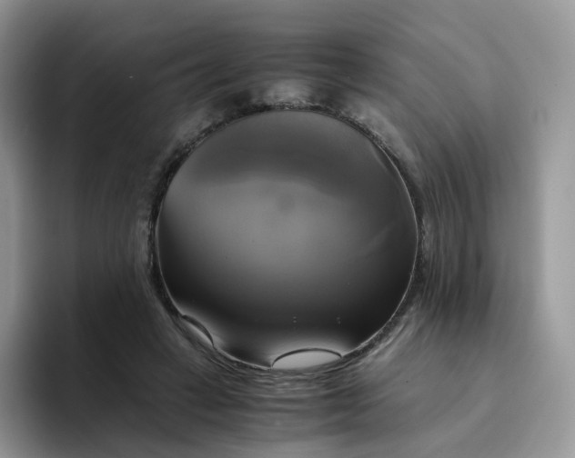 X0000094220449200711091259