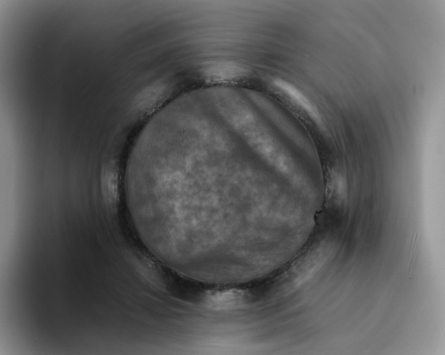 X0000094220452200711091259