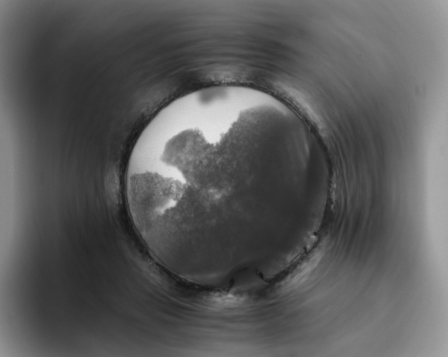 X0000094220453200711091259