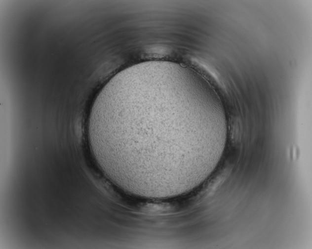 X0000094220455200711091259