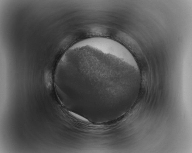 X0000094220457200711091259