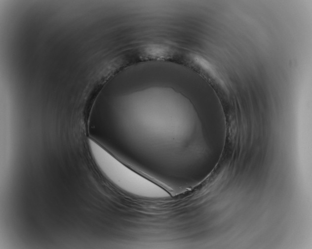 X0000094220459200711091259