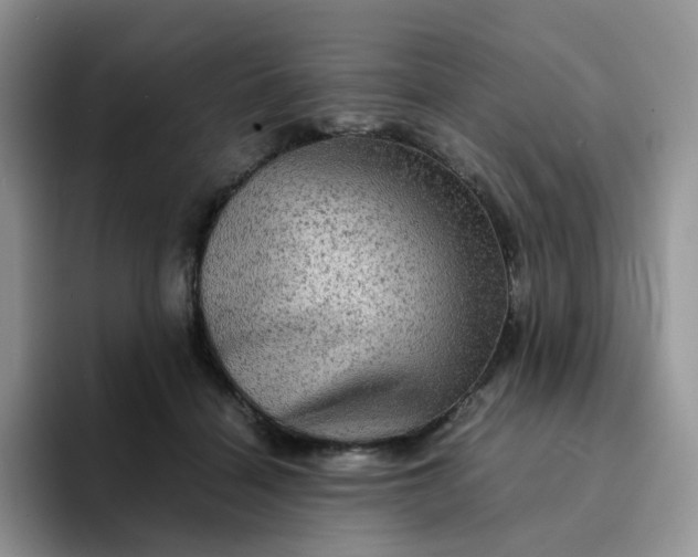 X0000094220460200711091259