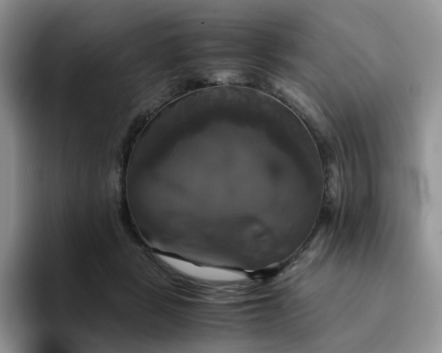 X0000094220461200711091259