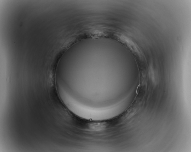 X0000094220465200711091259