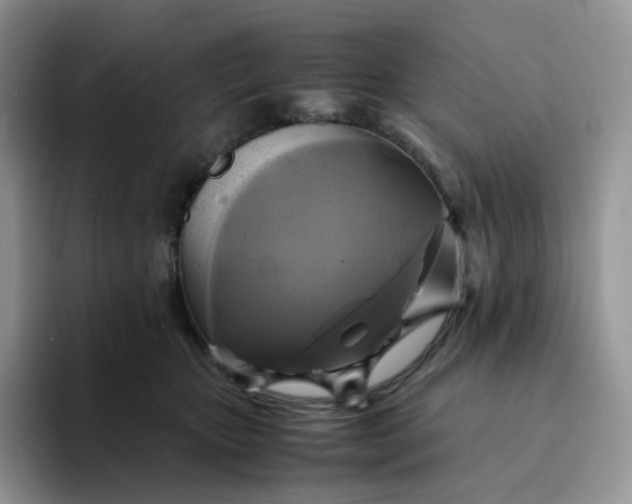 X0000094220467200711091259