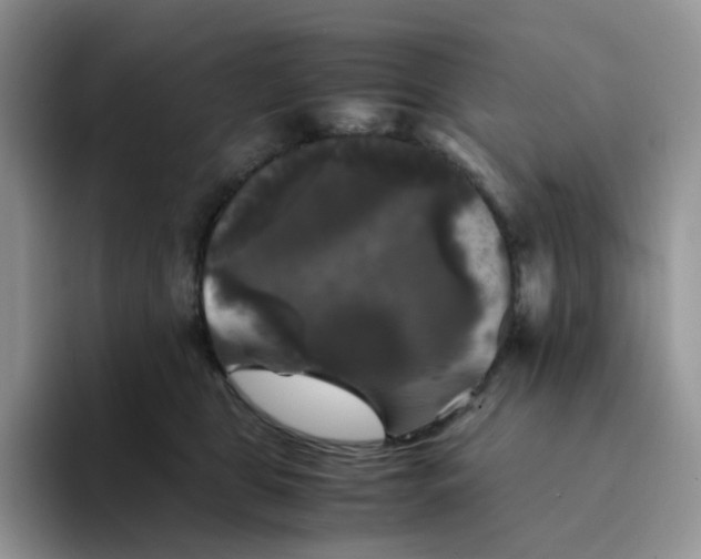 X0000094220469200711091259