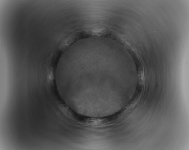 X0000094220472200711091259