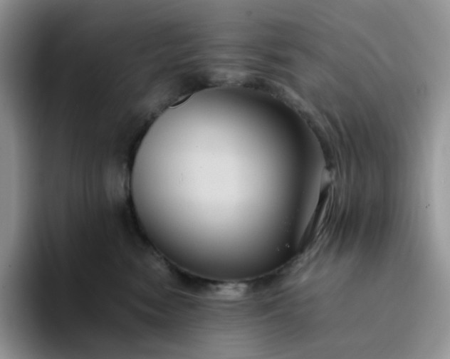 X0000094220474200711091259