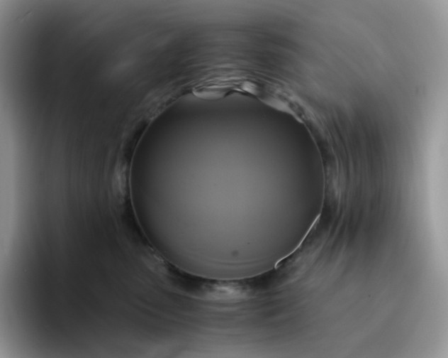 X0000094220475200711091259