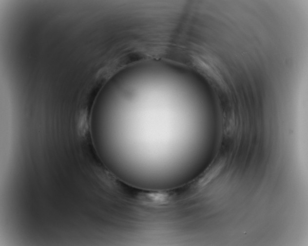 X0000094220478200711091259