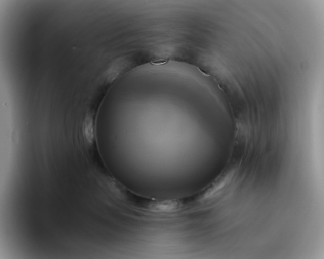 X0000094220479200711091259