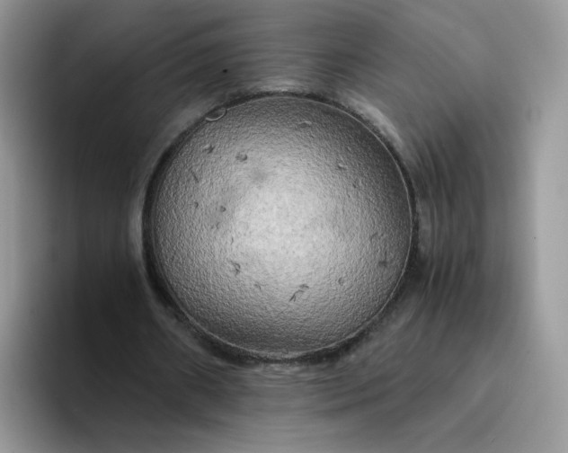 X0000094220482200711091258