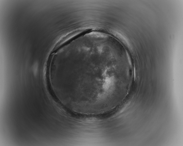 X0000094220483200711091258