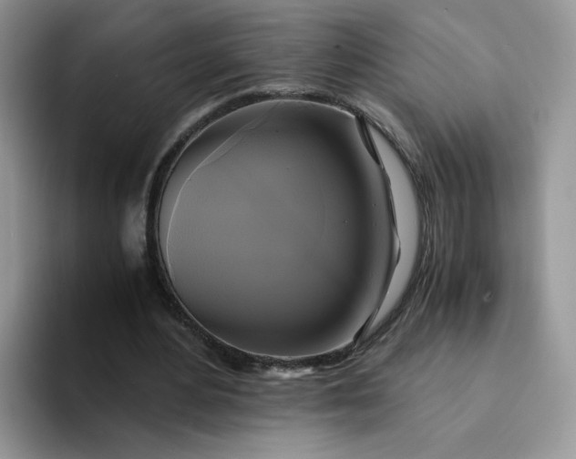 X0000094220484200711091258