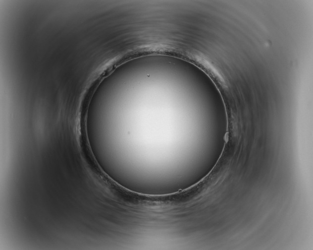 X0000094220486200711091258