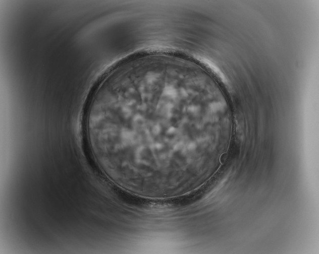 X0000094220487200711091258