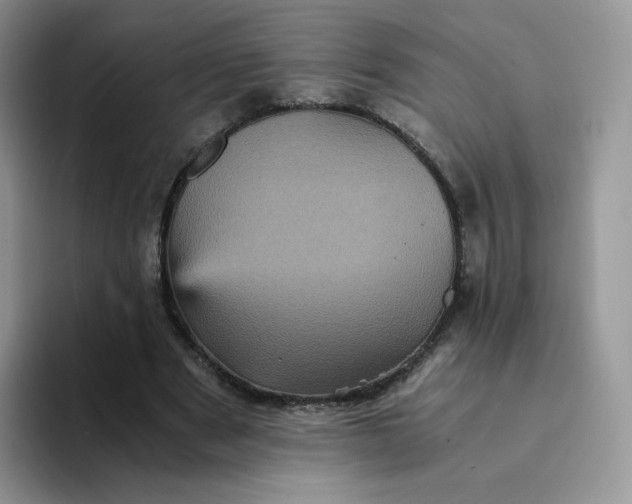 X0000094220489200711091258