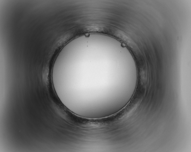 X0000094220490200711091258