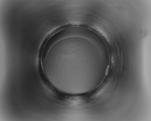 X0000094220492200711091258