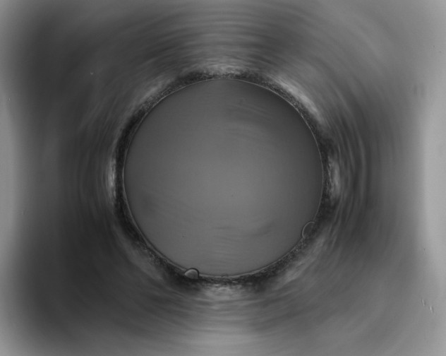 X0000094220494200711091258