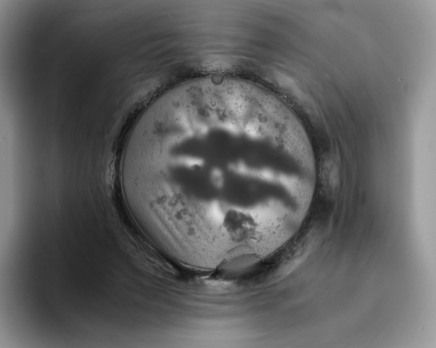 X0000094220495200711091258