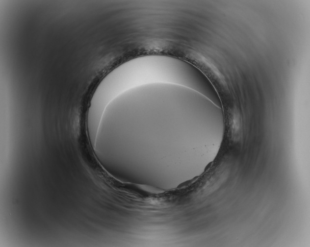 X0000094220496200711091258