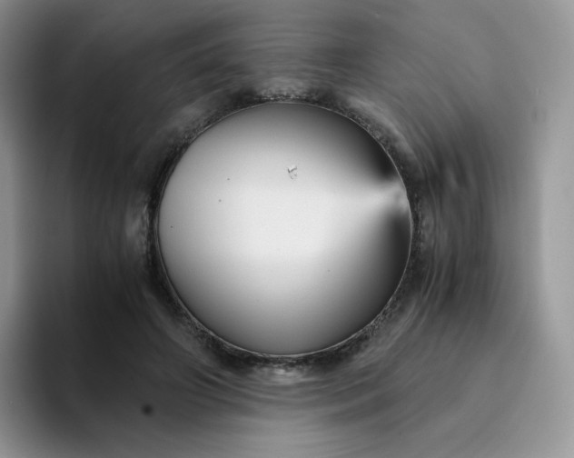 X0000094220498200711091258