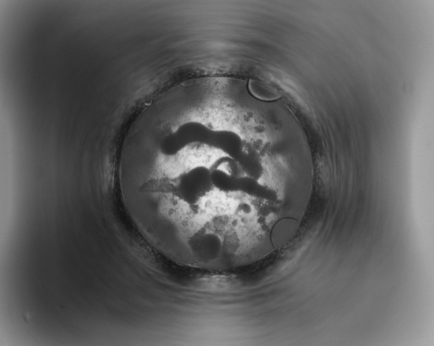 X0000094220499200711091258