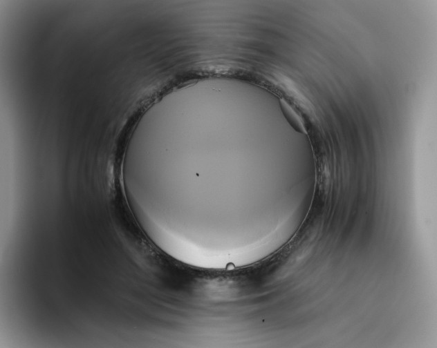 X0000094220500200711091258