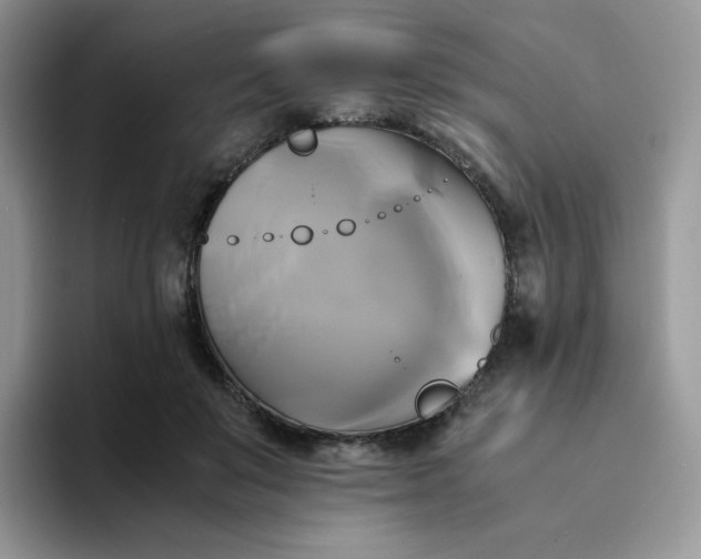 X0000094220503200711091258