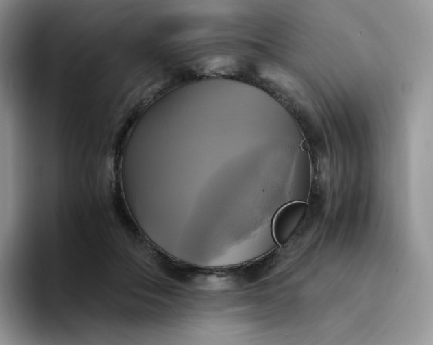 X0000094220506200711091258