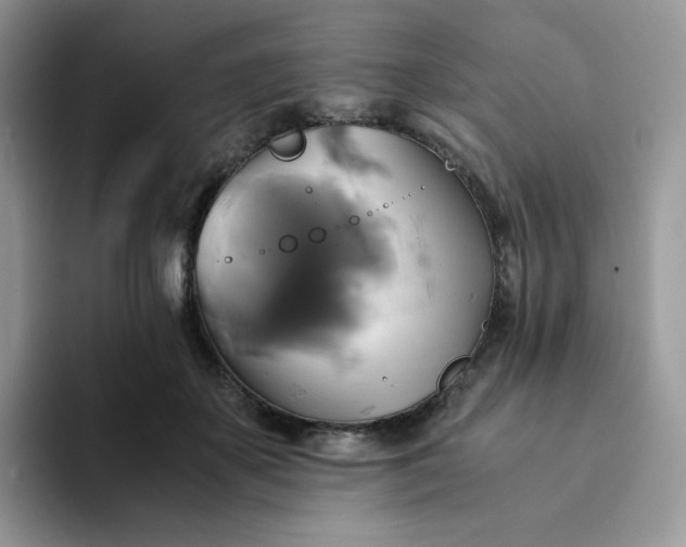 X0000094220507200711091258