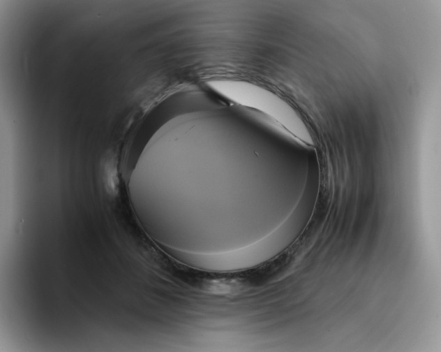 X0000094220508200711091258