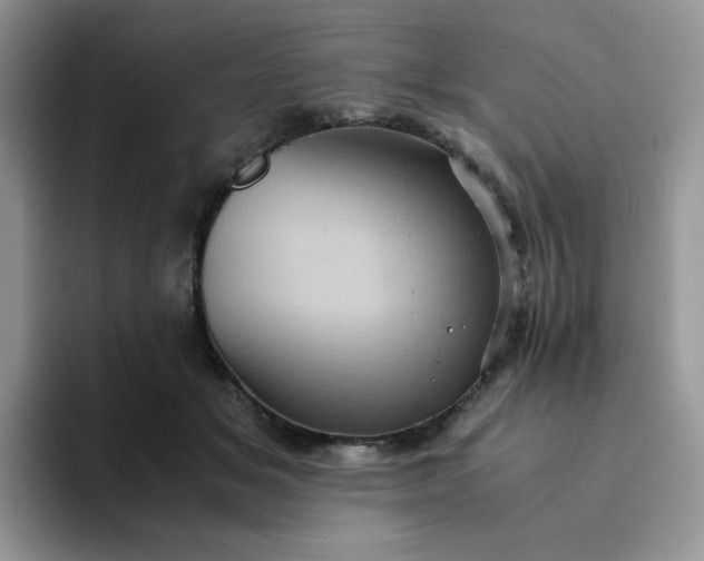 X0000094220509200711091258